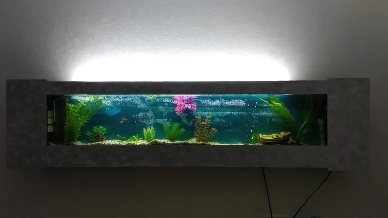 Setup mẫu hồ cá treo tường mini