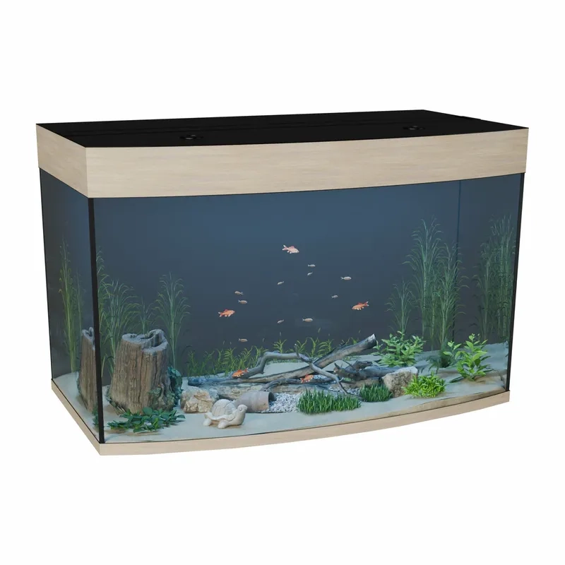 Hướng dẫn cách đặt hồ thủy sinh