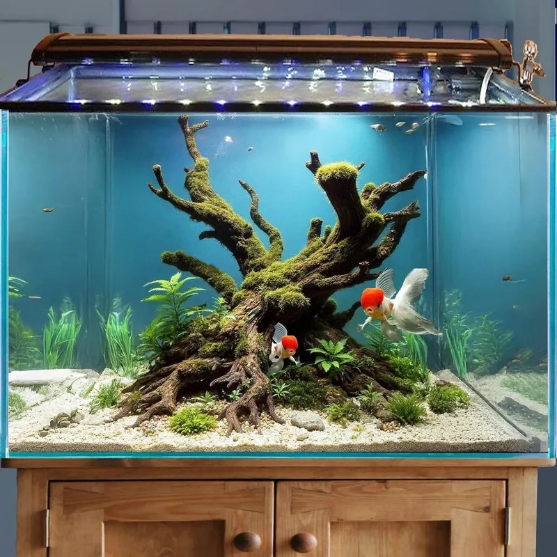 Tham khảo báo giá hồ thủy sinh