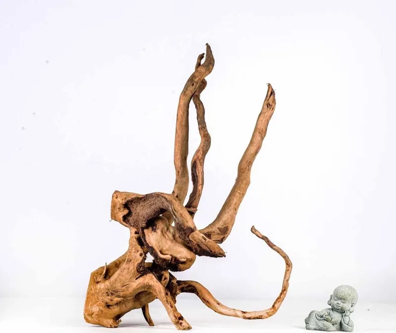 Giải đáp lũa đỗ quyên có độc không