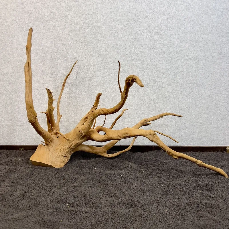 Địa chỉ mua lũa đỗ quyên tphcm