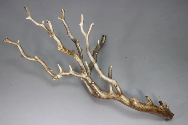 Chiêm ngưỡng các loại lũa Hải Sơn Tùng đẹp