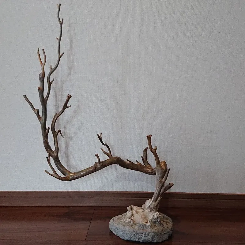 Nghệ thuật sắp xếp bố cục lũa Hải Sơn Tùng