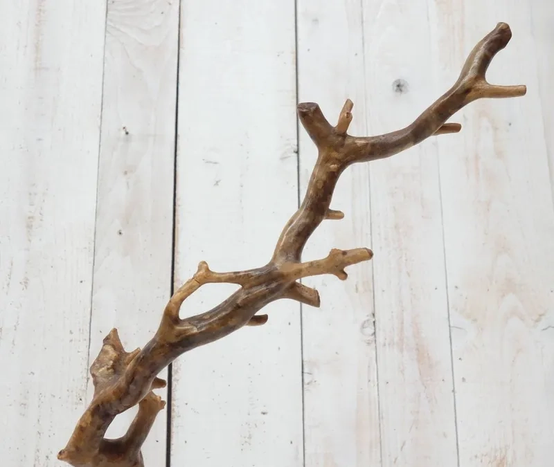 Mua sắm các combo lũa Hải Sơn Tùng