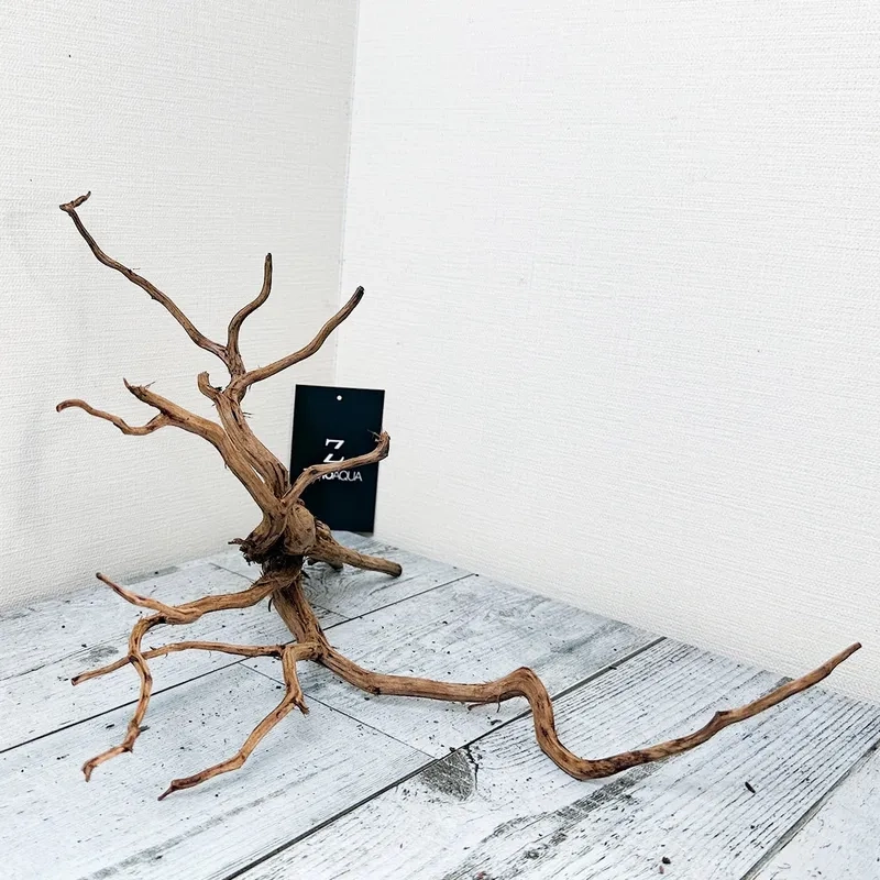 Hướng dẫn cách xử lý lũa Hải Sơn Tùng