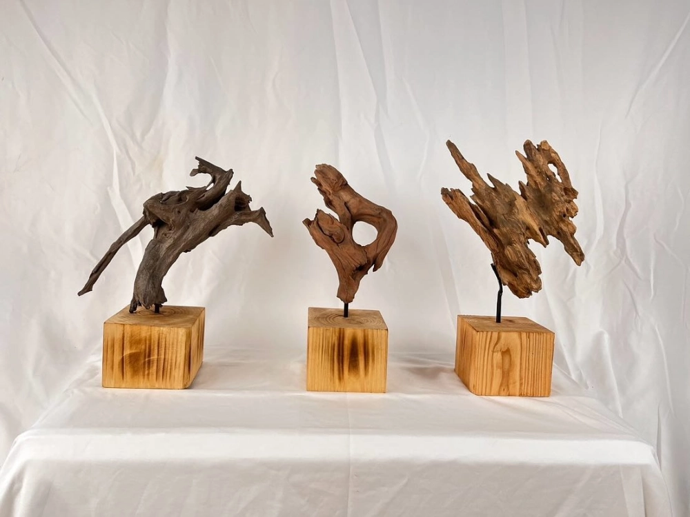 Sự kết hợp hoàn hảo giữa lũa thủy sinh và cây dương xỉ