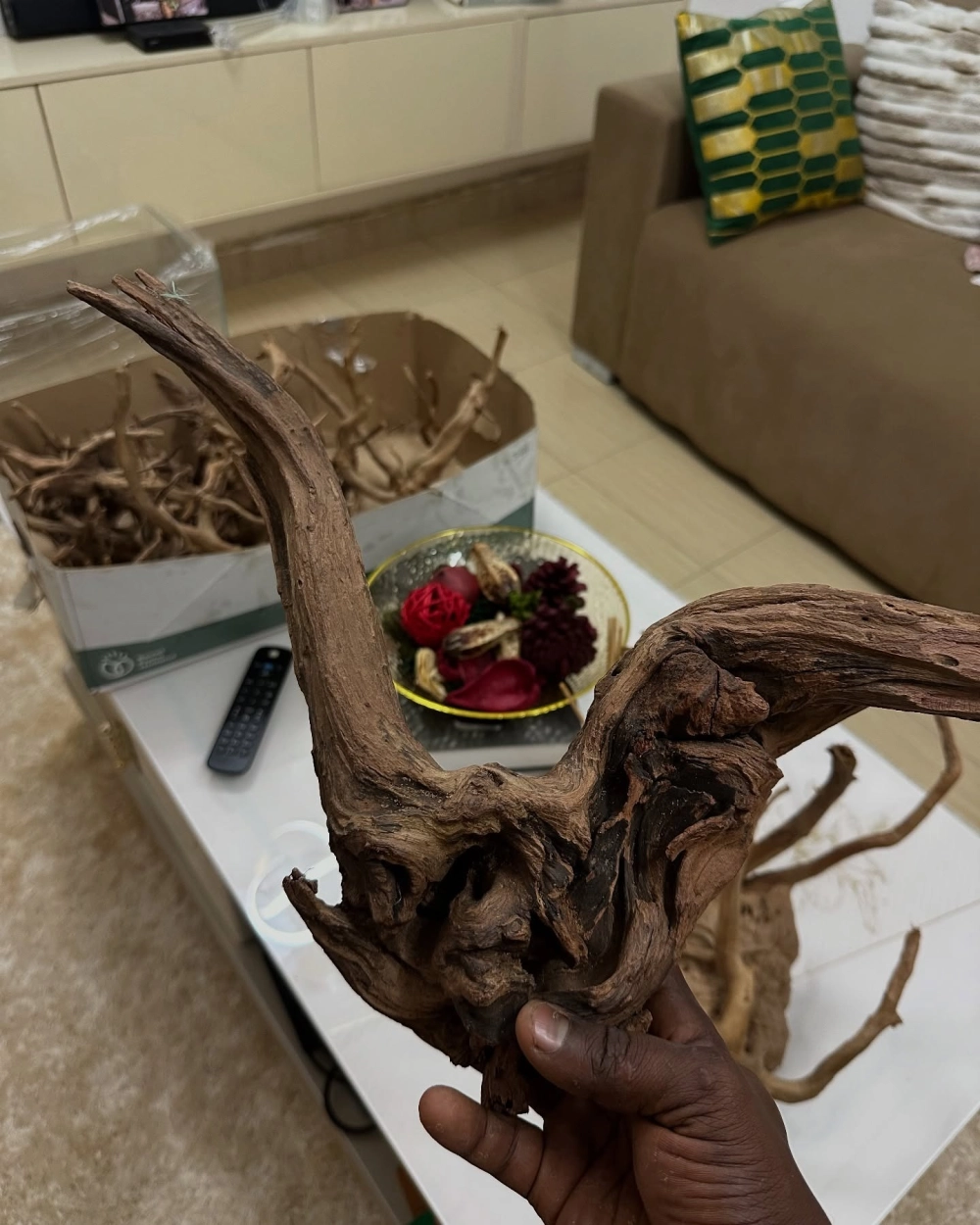 Không gian xanh mát nhờ trang trí lũa thủy sinh nghệ thuật