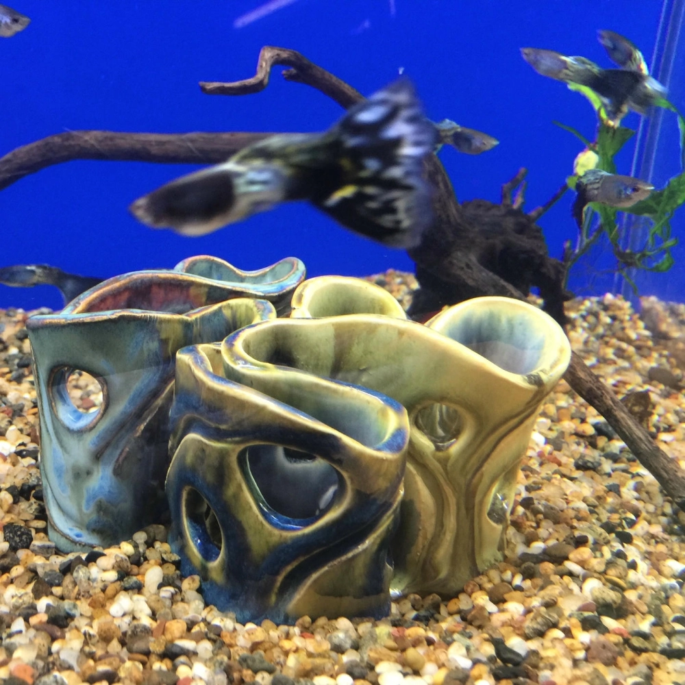 Chậu gốm nhỏ đặt trong bể thủy sinh