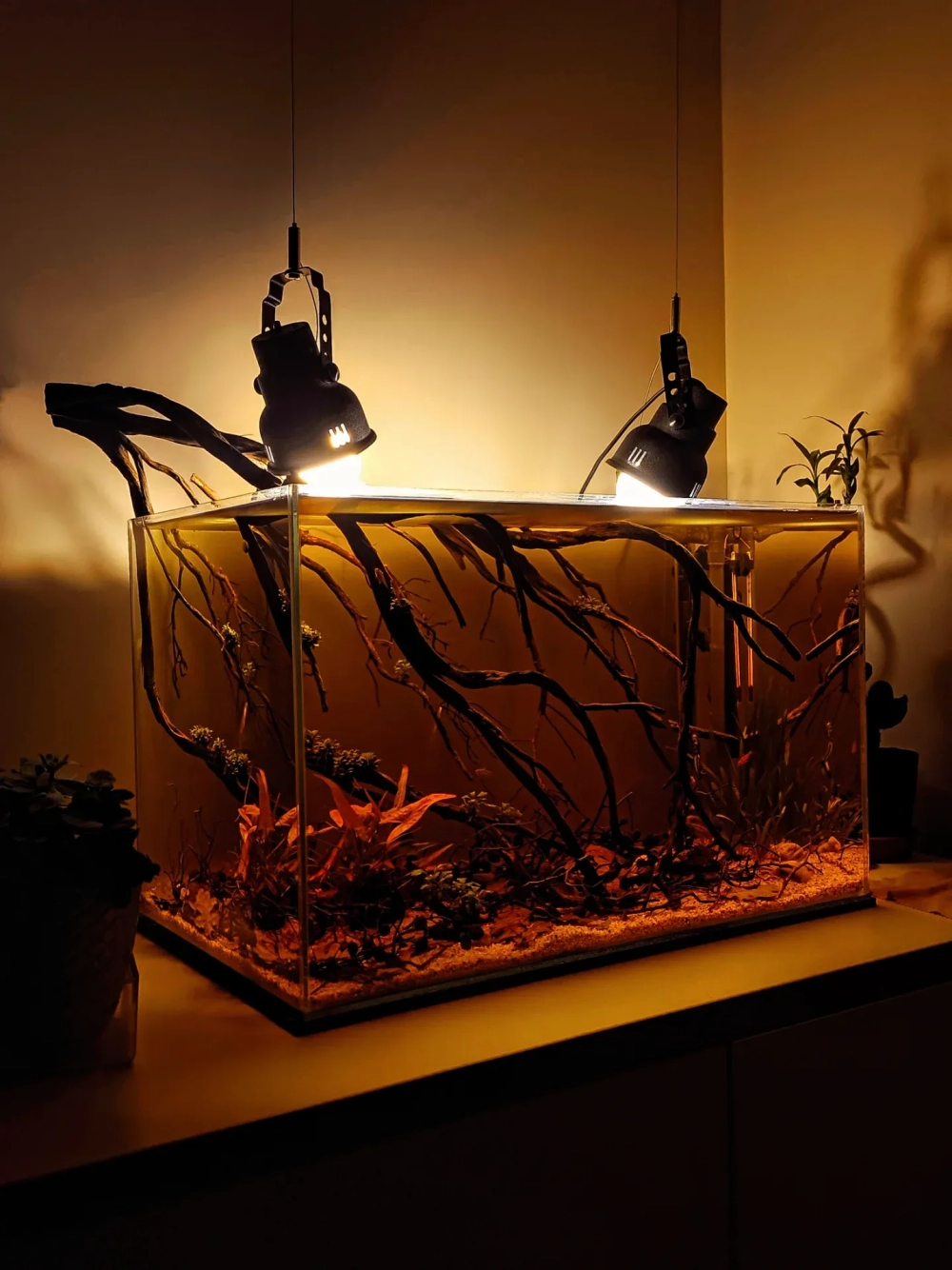 Bể cá ngoài trời sử dụng sỏi lớn trang trí xung quanh