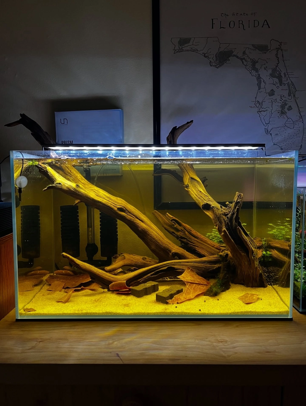 Trang trí tiểu cảnh hồ cá với sỏi cuội sông tự nhiên