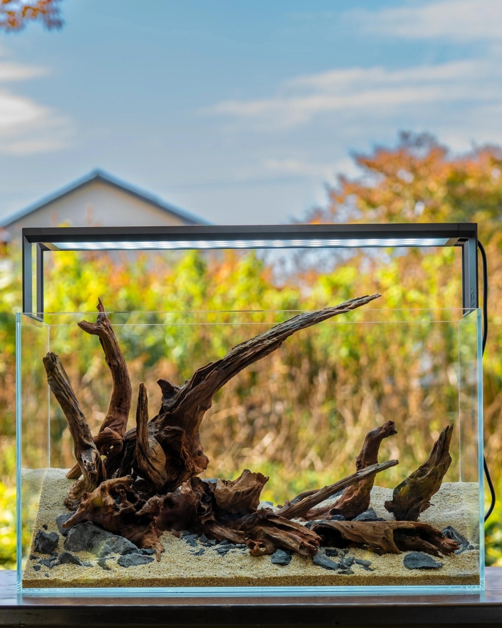 Những viên sỏi trang trí mịn màng dưới ánh đèn ledNhững viên sỏi trang trí mịn màng dưới ánh đèn led