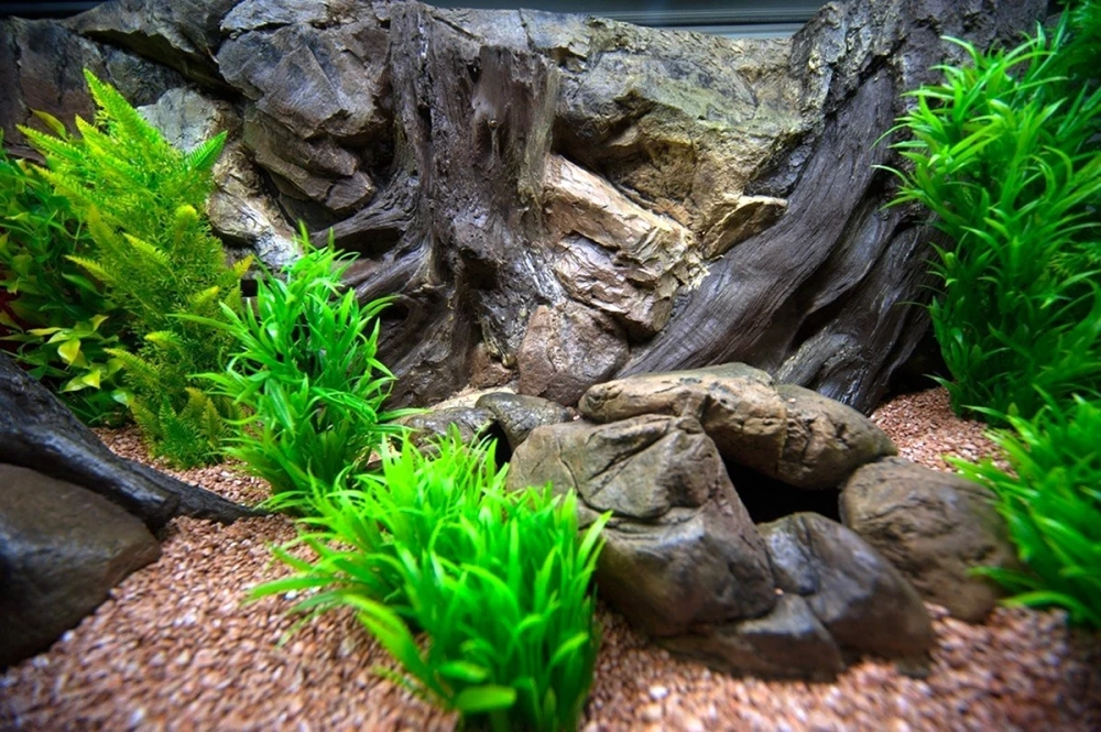 Tranh dán nền 3D siêu thực cho bể cá rồng sang trọng