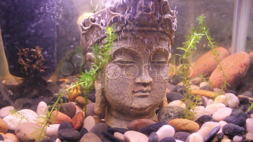 Tiểu cảnh tượng đá mang hơi hướng vườn Zen Nhật Bản