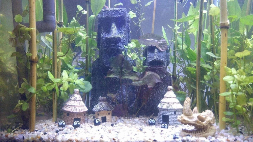 Trang trí bể cá cảnh với tượng tháp Eiffel thu nhỏ