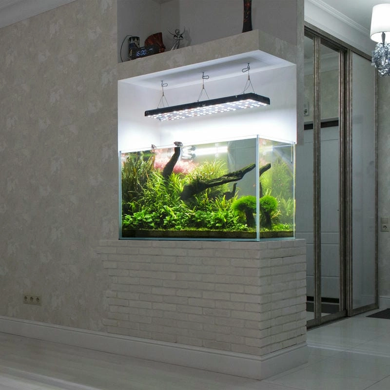 Hồ thủy sinh đẹp hiện đại tôn vinh gu thẩm mỹ