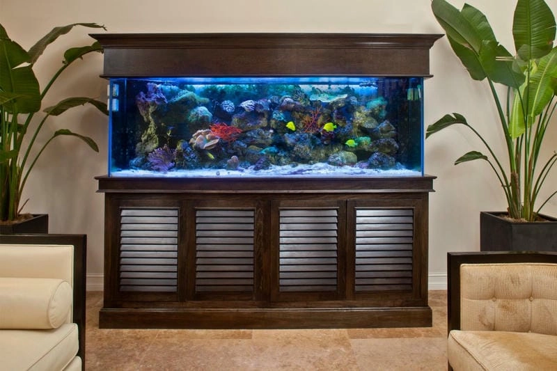 Hồ thủy sinh đẹp cho phòng khách sang trọng