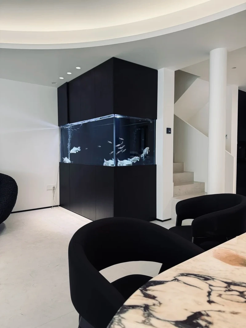 Thiết kế bể cá âm tường sang trọng nâng tầm không gian