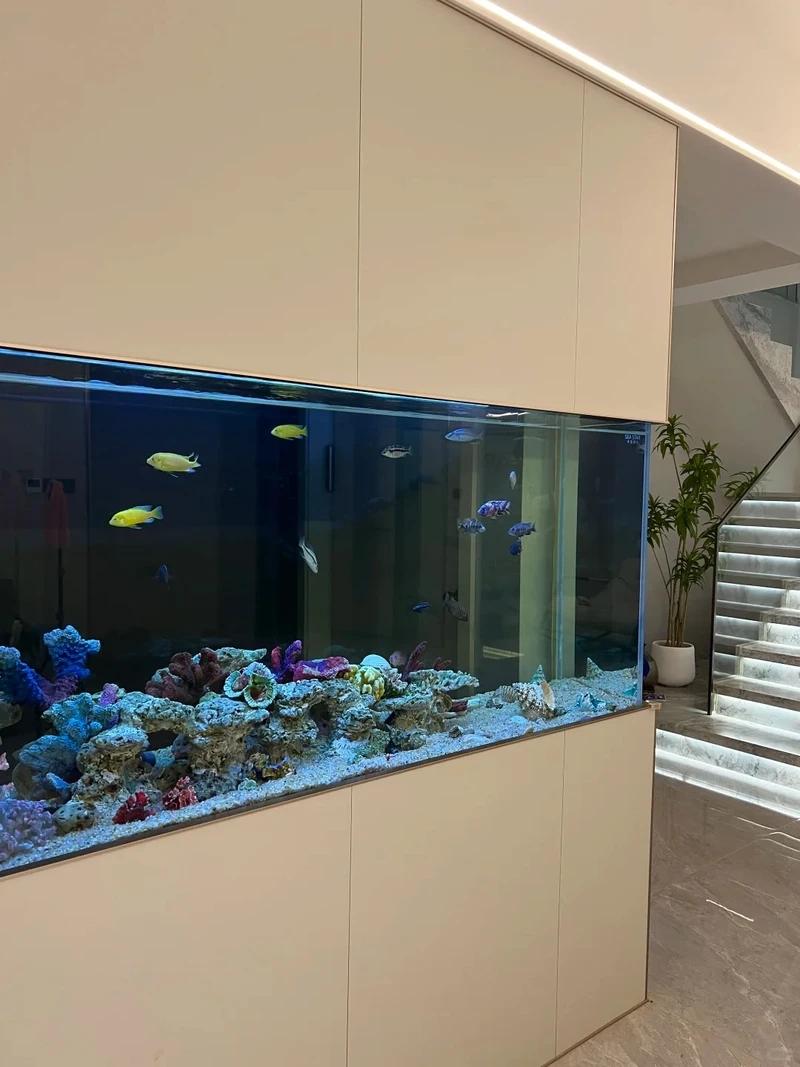 Cách chọn bể cá âm tường phong thủy hút tài lộc