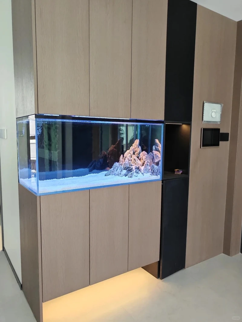 Giải pháp bể cá âm tường thiết kế riêng theo yêu cầu