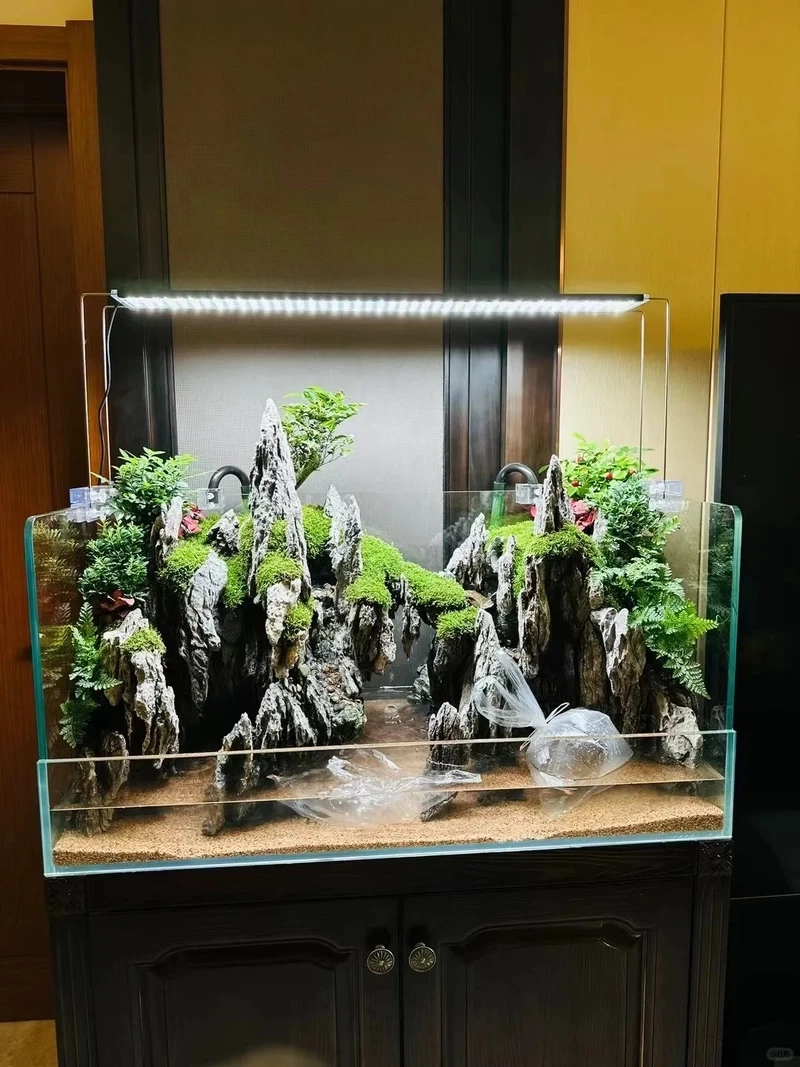 Top mẫu bể cá bán cạn mini cho không gian nhỏ