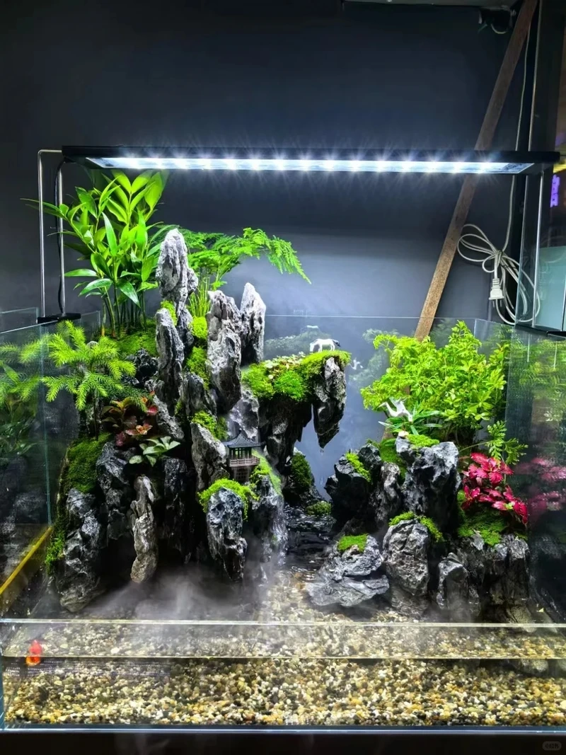 Ý tưởng bể cá bán cạn tự nhiên chuẩn hệ sinh thái