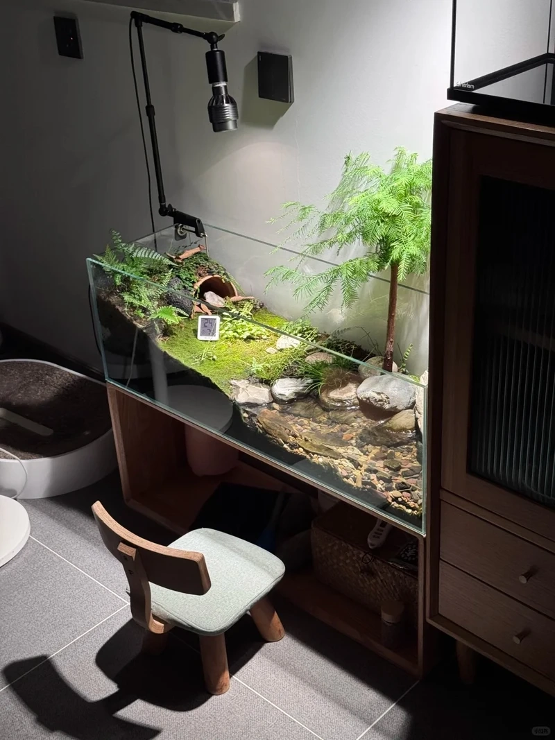 Bộ sưu tập bể cá bán cạn tiểu cảnh đẹp mê