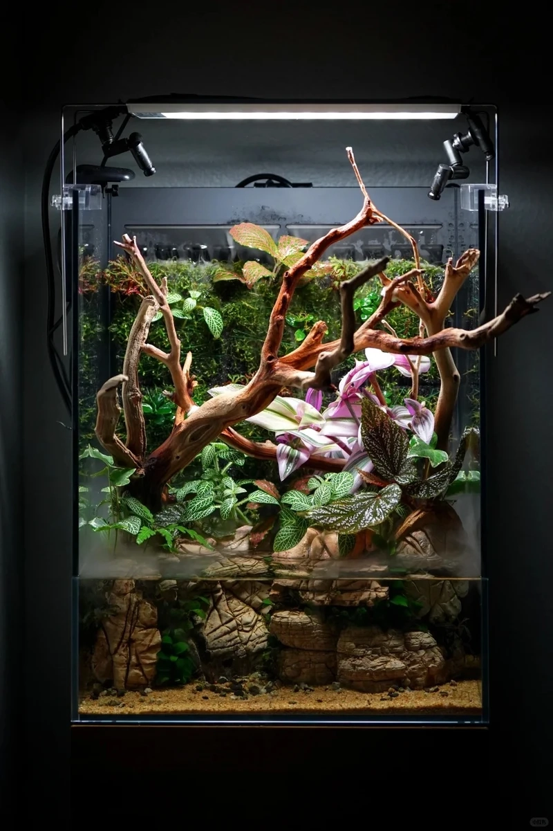 Top ý tưởng bể cá bán cạn sáng tạo khác biệt