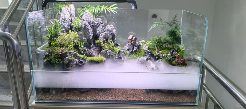 Xu hướng bể cá bán cạn sinh thái gần gũi thiên nhiên