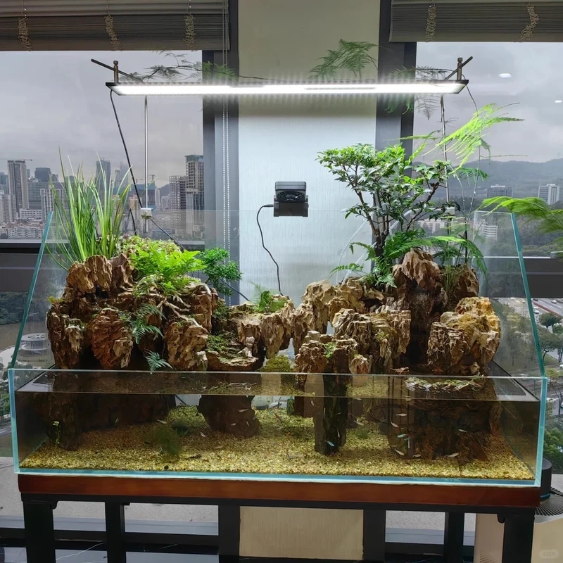 Tuyển tập bể cá bán cạn nghệ thuật đáng xem