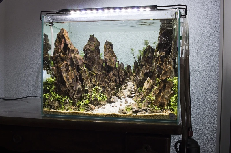 Khám phá bể thủy sinh đá tiger đẹp hút mắt dân chơi thủy sinh