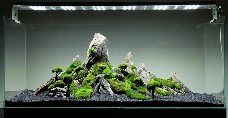 Mẫu bể thủy sinh đá tiger phong cảnh nhìn là muốn set ngay