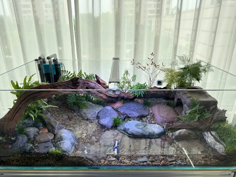 Loạt bể thủy sinh đá tiger vân đẹp được săn tìm nhiều nhất