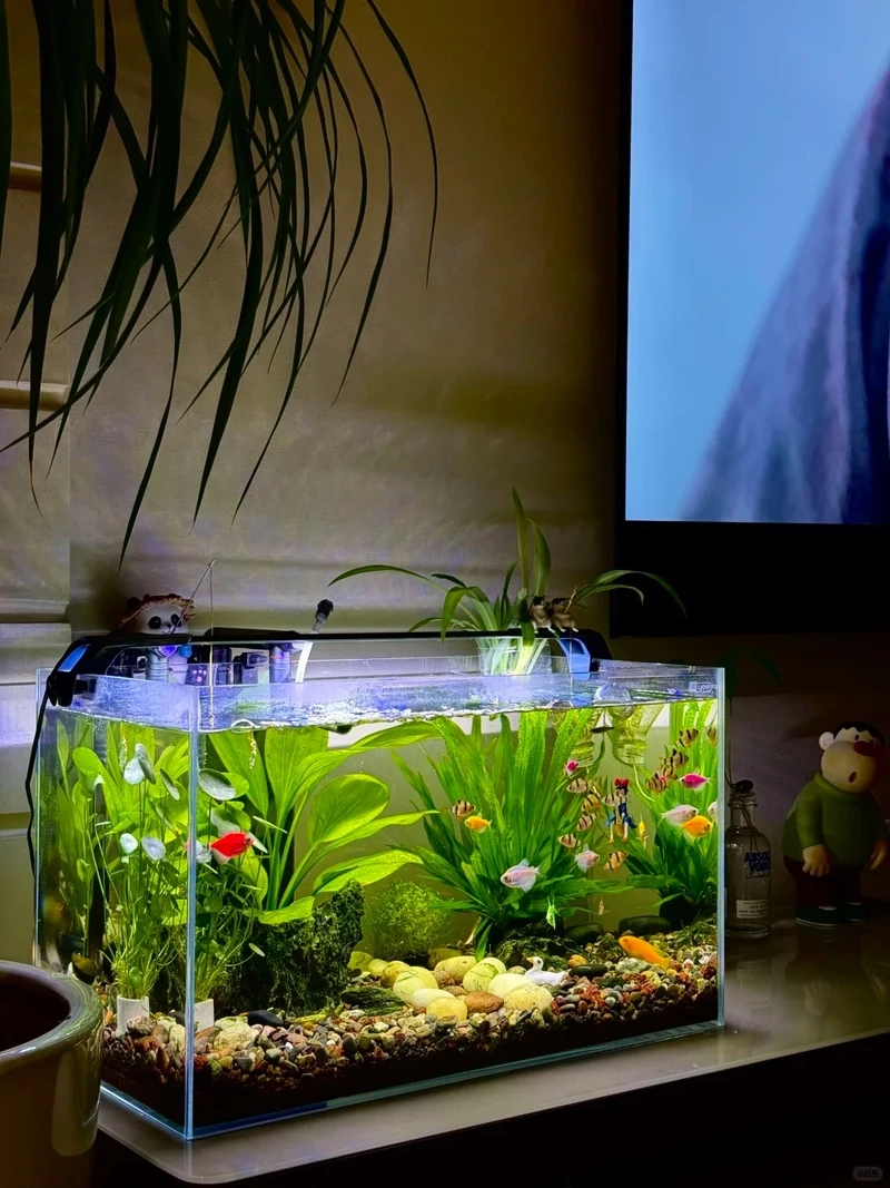 Gợi ý decor bể thủy sinh cây cắt cắm đầy màu sắc