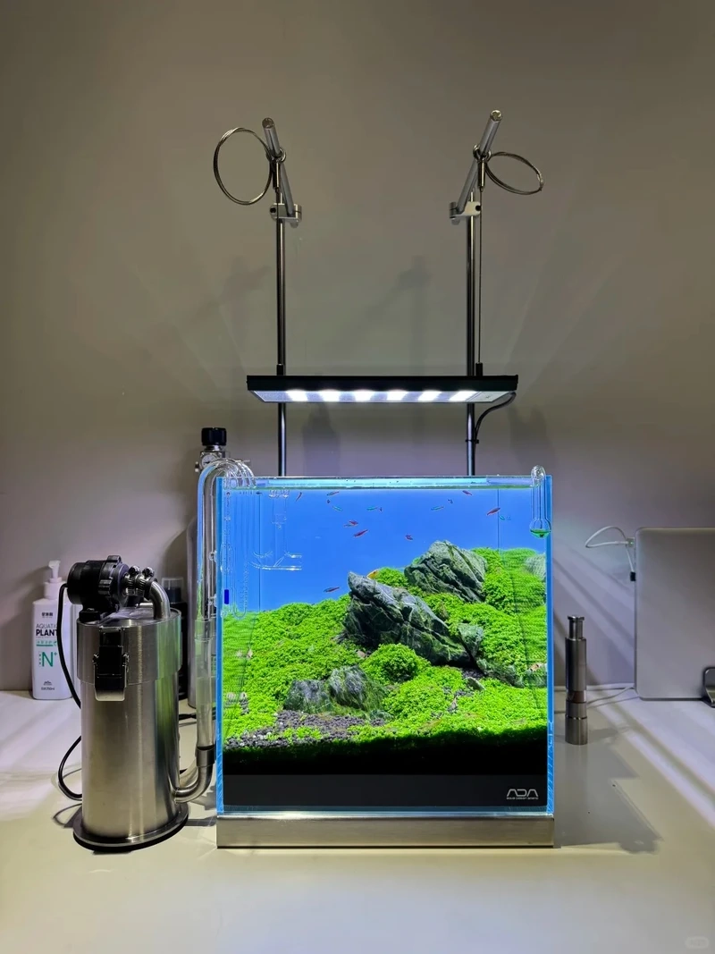 Gợi ý hồ cá thủy sinh nhỏ mini cực xinh cho góc chill