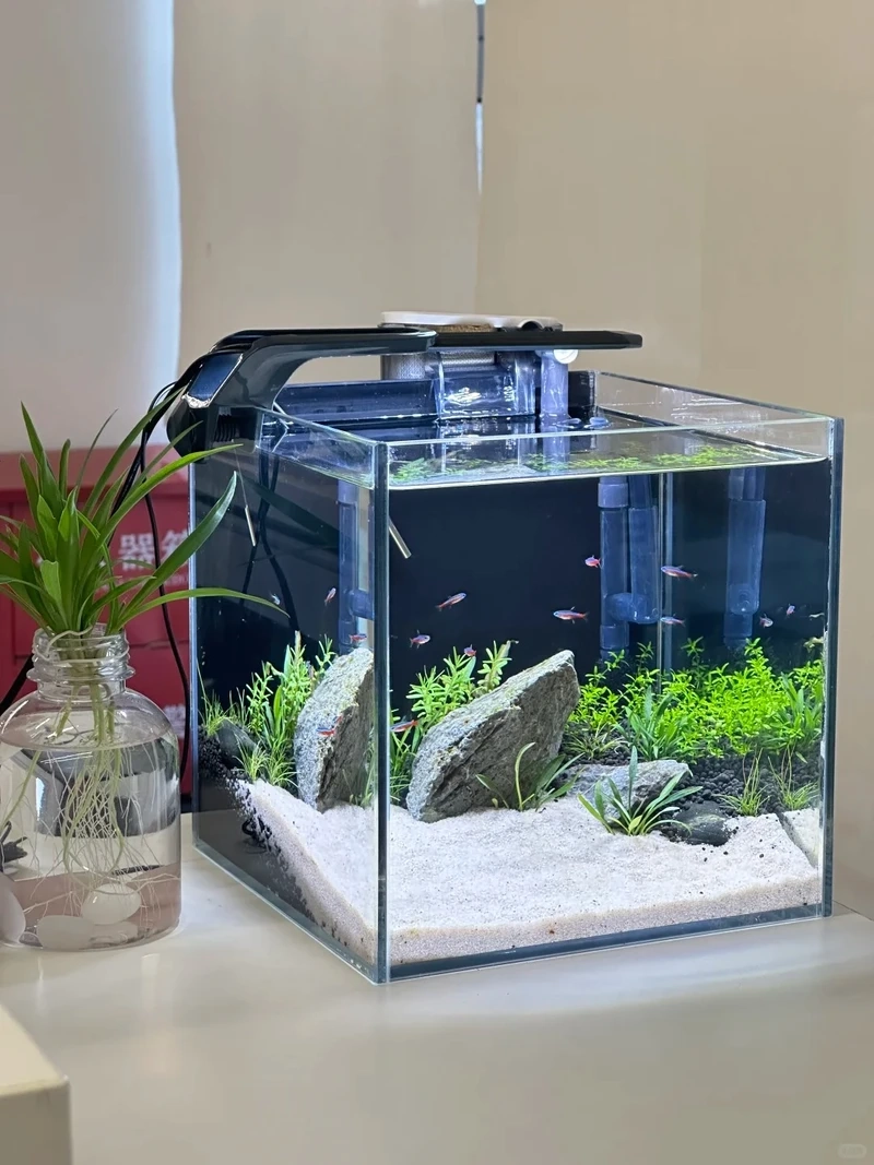Xu hướng hồ cá thủy sinh nhỏ ít thiết bị vẫn xanh tốt