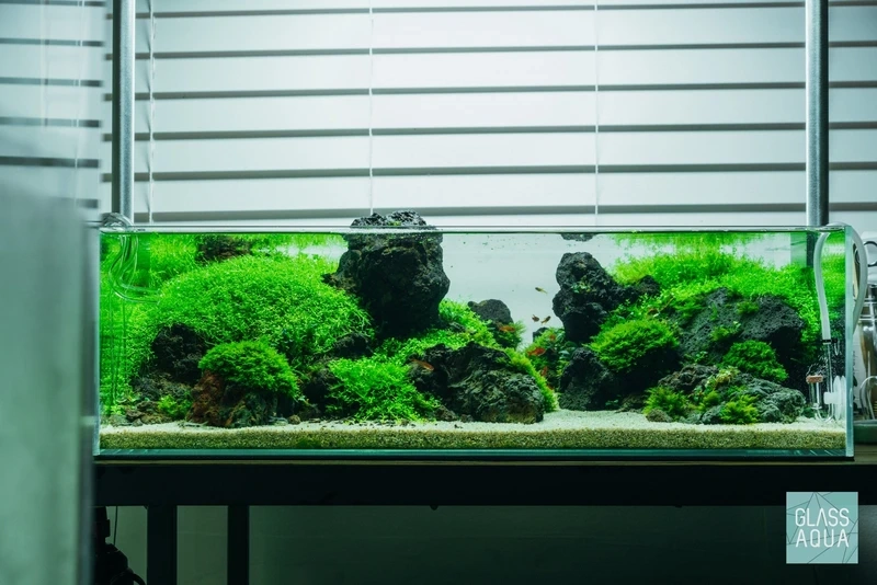 Không gian xanh mát với bể cá nham thạch cây xanh tự nhiên