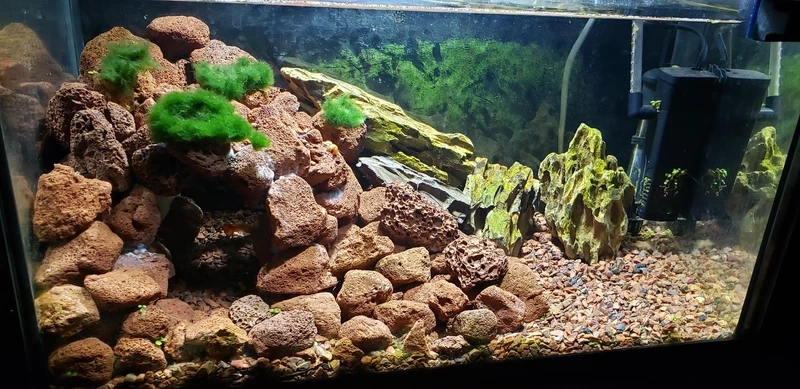 Chiêm ngưỡng bể cá nham thạch aquascape đẹp đầy cảm hứng