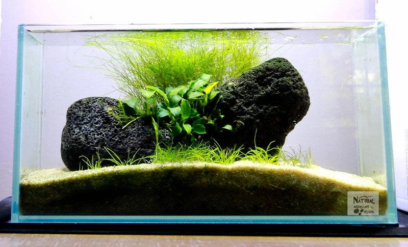 Điểm nhấn nội thất với bể cá nham thạch trang trí phòng khách