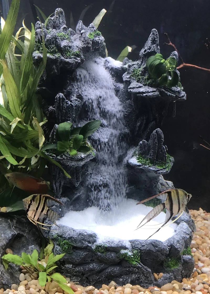 Điểm nhấn nội thất với bể cá thác nước trang trí độc đáo