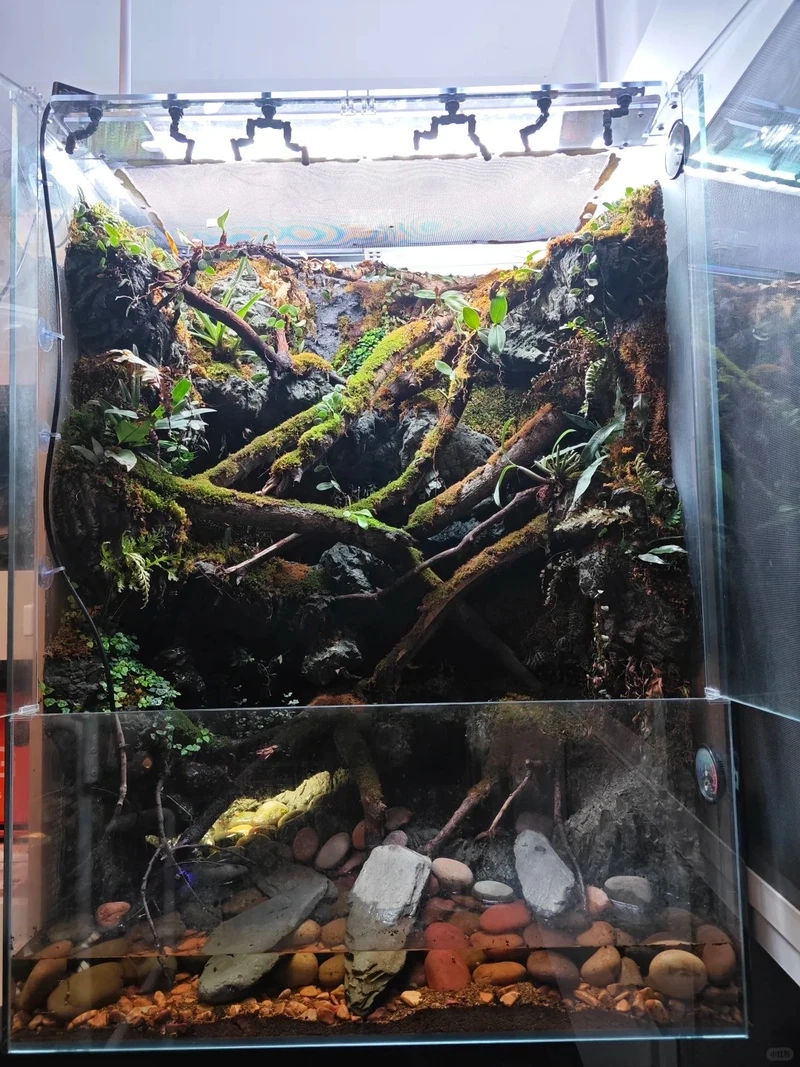 Không gian xanh thư giãn với bể cá thác nước thủy sinh