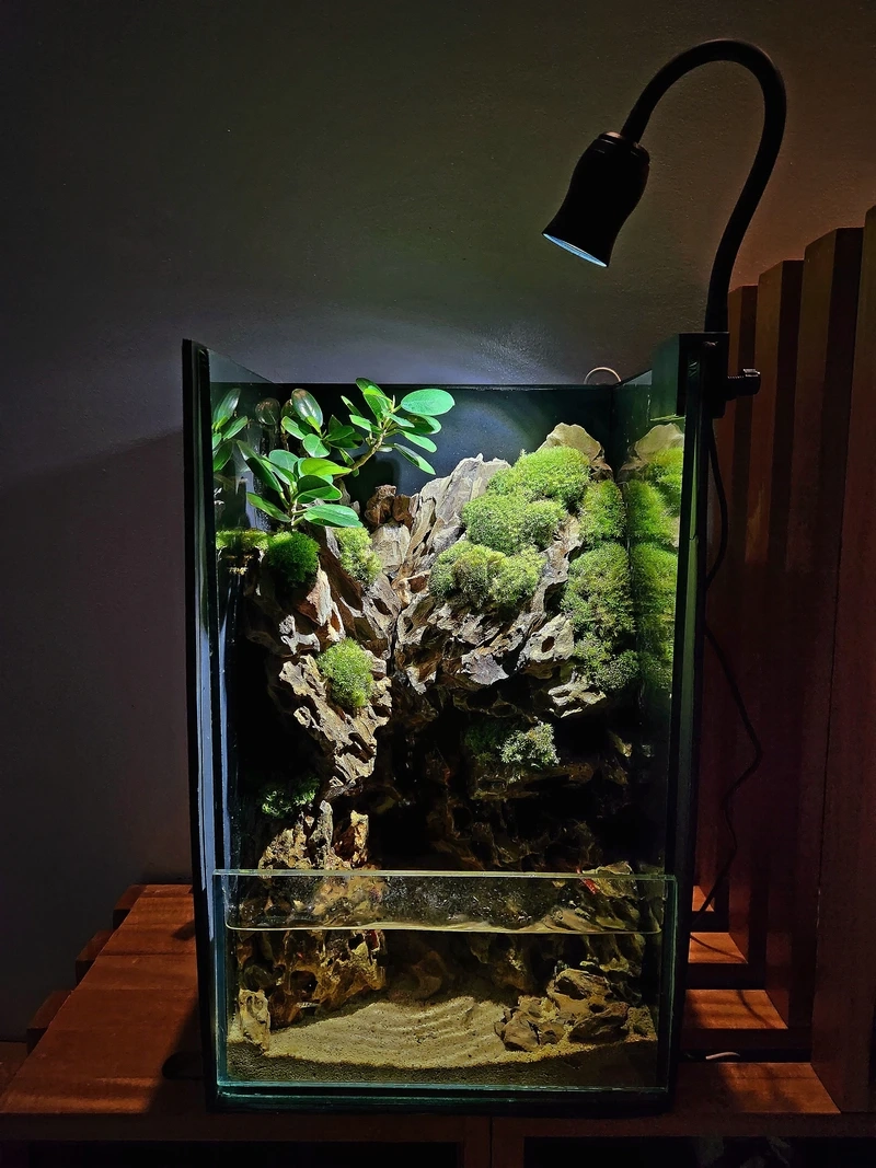 Góc thư giãn tuyệt đẹp với hồ thủy sinh thác nước mini