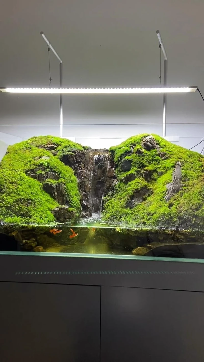 Góc nhìn ấn tượng với bể cá thác nước mini cảnh đẹp