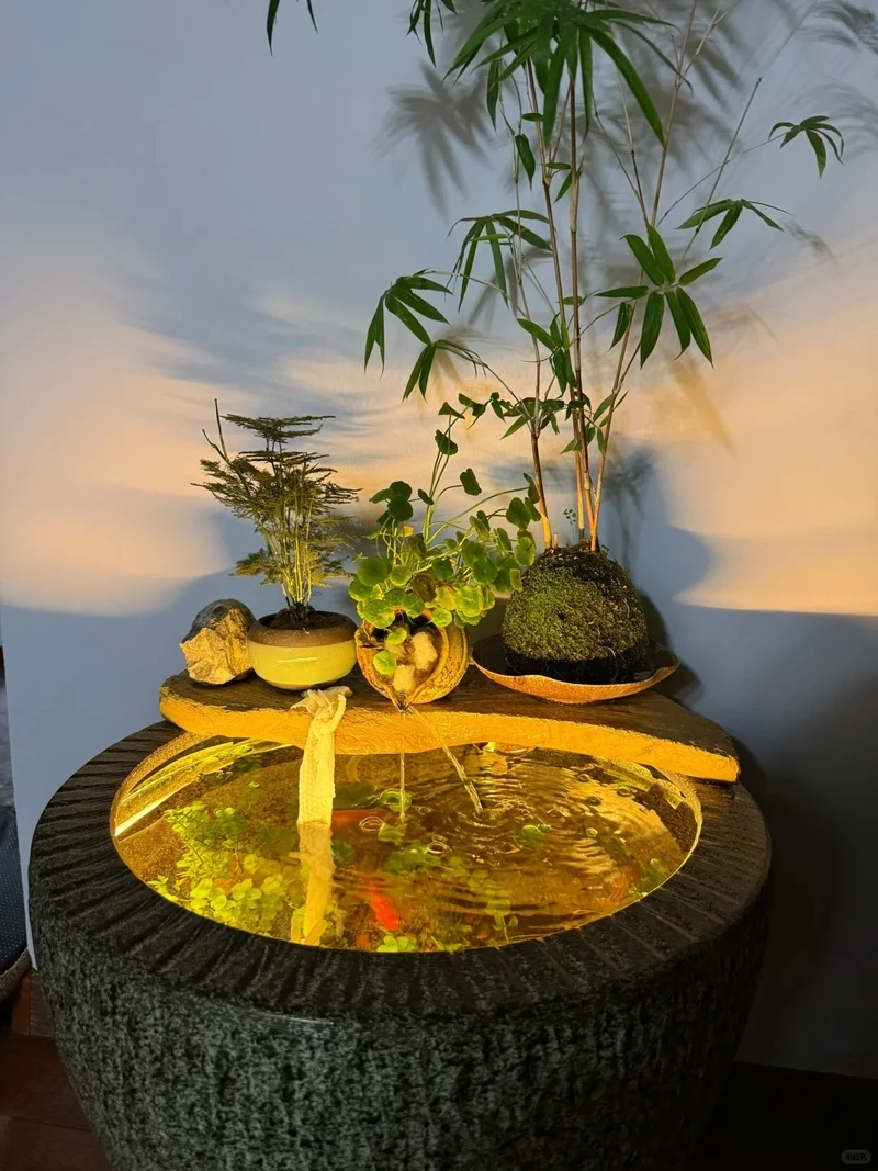 Góc thư giãn xinh xắn với bể cá zen mini