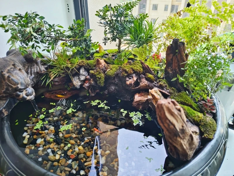 Góc thiên nhiên tươi mát từ bể cá zen cây xanh