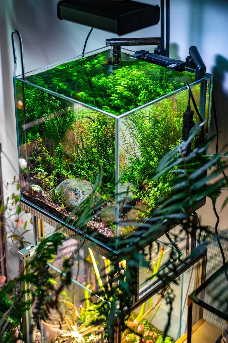 Trang trí không gian sống với bể cá zen phòng khách