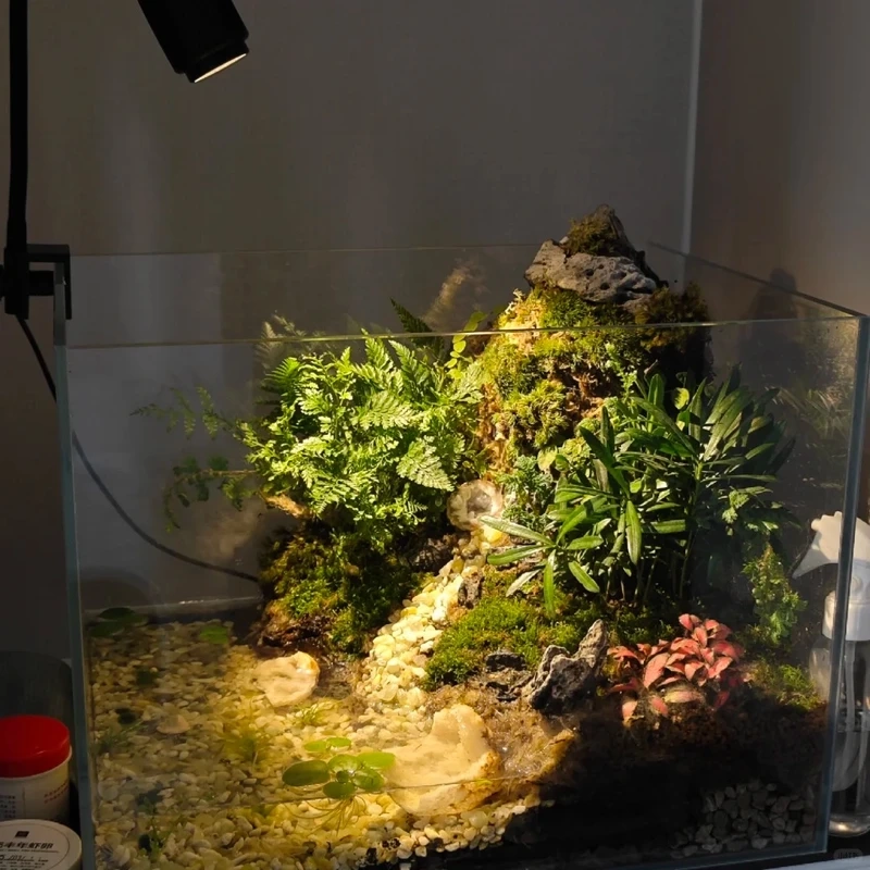 Ý tưởng decor từ bể cá zen sáng tạo