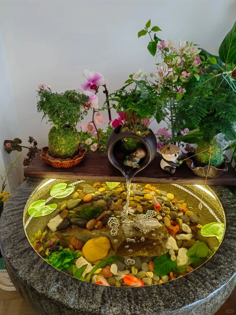 Chiêm ngưỡng vẻ đẹp bể cá zen cảnh đẹp trong nhà