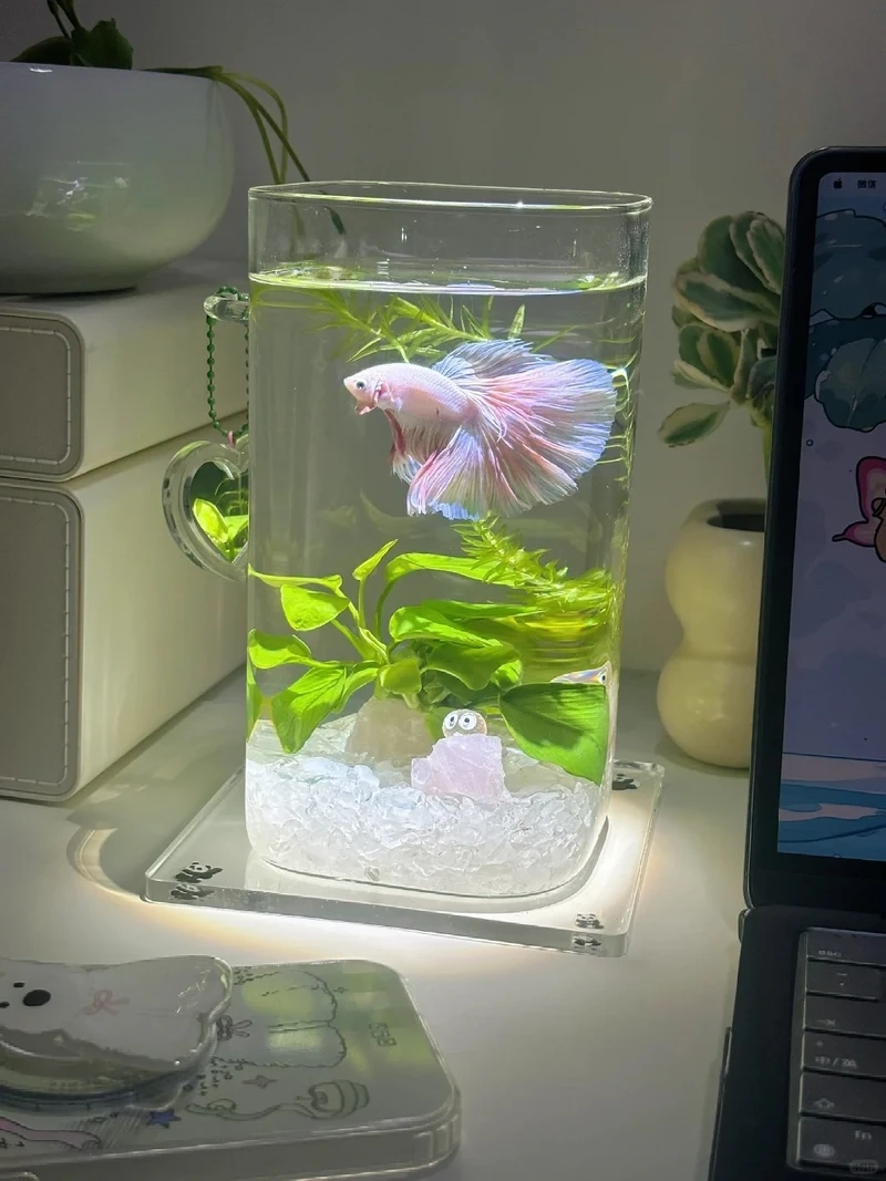 Góc làm việc chill hơn với hồ thủy sinh bàn làm việc