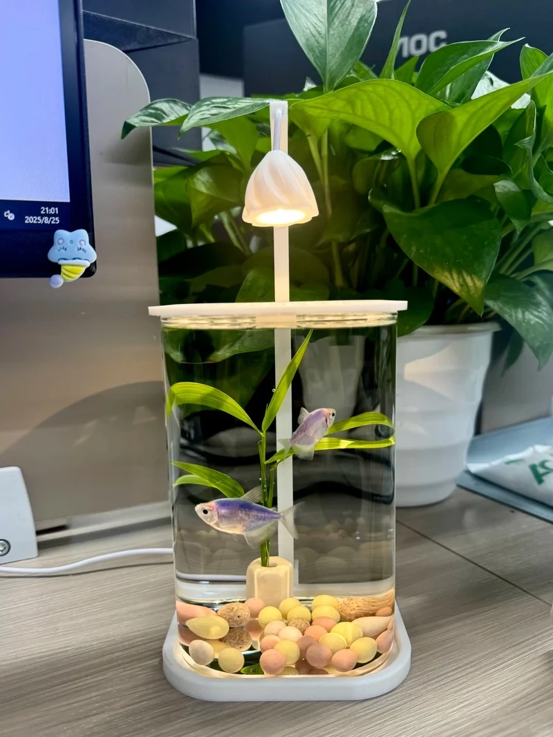 Góc bàn thêm sinh động nhờ hồ thủy sinh mini để bàn