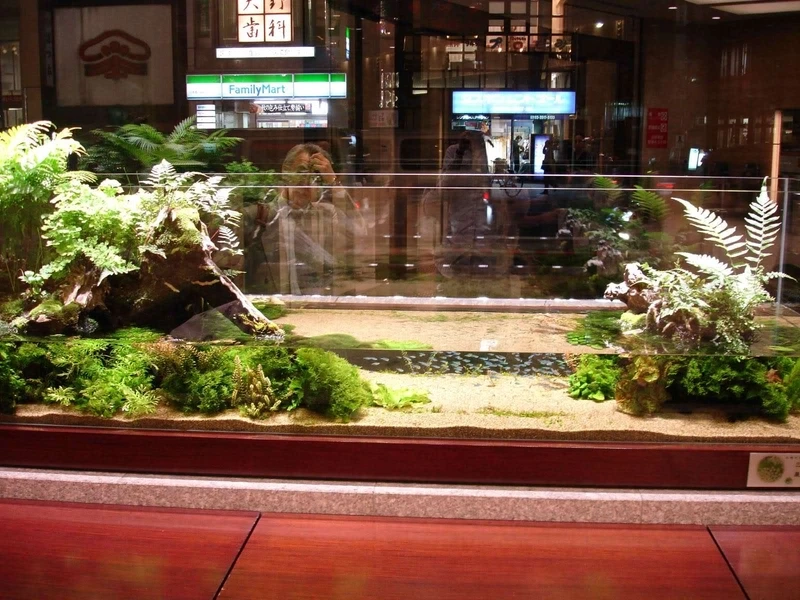 Sáng tạo độc đáo cùng hồ thủy sinh bonsai nhật cực kỳ ấn tượng